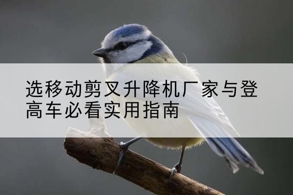 铁山港电动升降机厂家-选移动剪叉升降机厂家与登高车必看实用指南