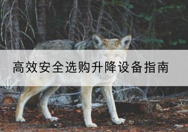 铁山港升降货梯厂家推荐-*安全选购升降设备指南