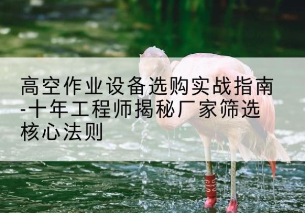 铁山港剪叉式升降机厂家-高空作业设备选购实战指南-十年工程师揭秘厂家筛选核心法则