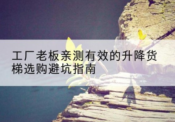 铁山港升降货梯怎么选-工厂老板亲测有效的升降货梯选购避坑指南